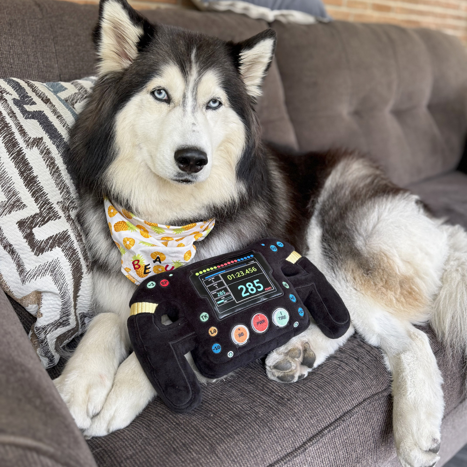 GT3 Racing Steering Wheel Pillow